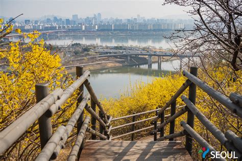 Eungbongsan Mountain: Zapierająca dech w piersiach panorama i magiczne trasy wędrówki!