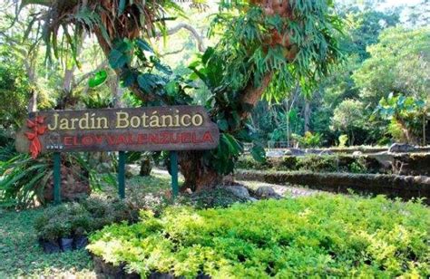  Jardín Botánico de Bucaramanga - Oaza spokoju w sercu Kolumbii!