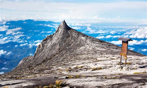 Kinabalu Park - Fascynujące Szlaki i Niezwykła Biodiversność!